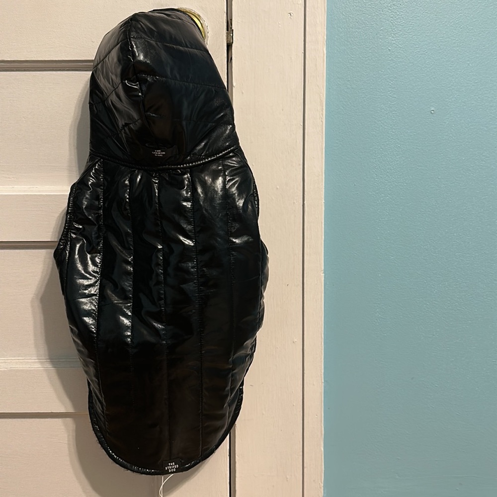 THE STRIPED DOG waterproof hooded jacket. MIDTOWN.